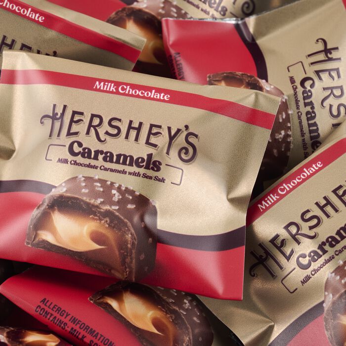 Image of HERSHEY’S Caramels Candy Gift Tin, 1 lb Packaging