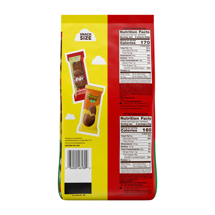 Image of REESE'S and KIT KAT&reg; Assorted Milk Chocolate Snack Size Easter Candy Bag, 31.55 oz Packaging