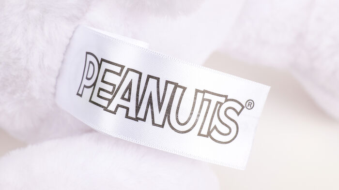 Image of 10" Plush Snoopy Packaging
