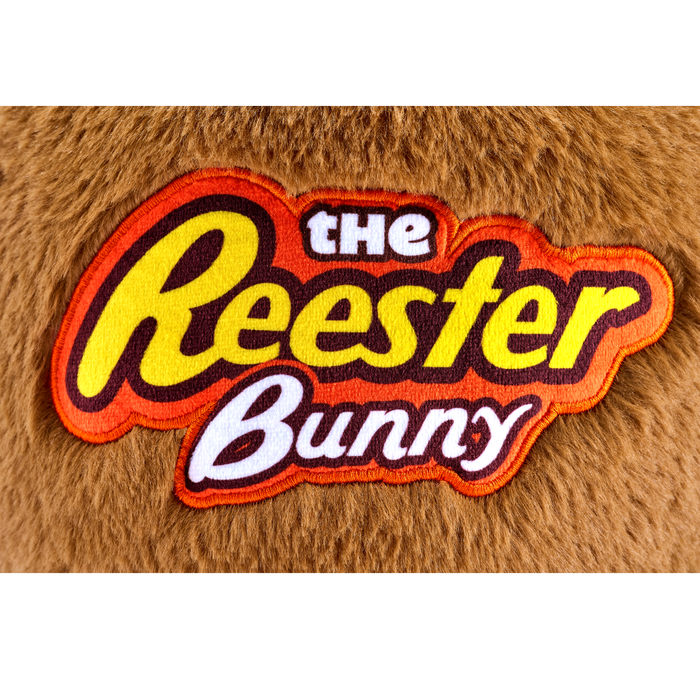 Image of REESTER Bunny Plush Easter Basket Packaging
