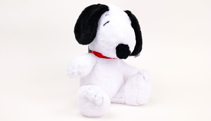 Image of 10" Plush Snoopy Packaging