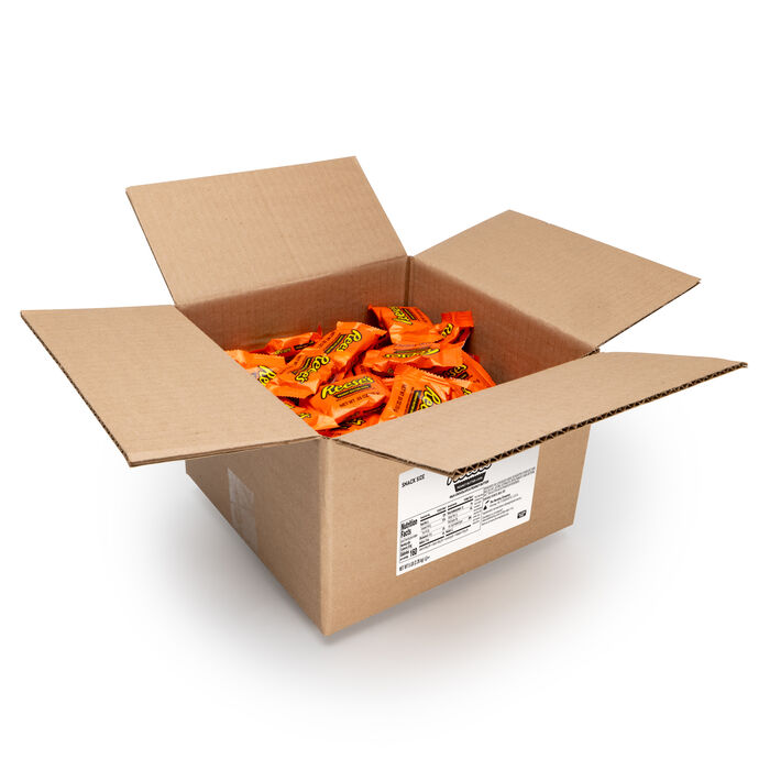Image of REESE’S Peanut Butter Cups Snack Size 5 lbs. Bulk Candy Box Packaging