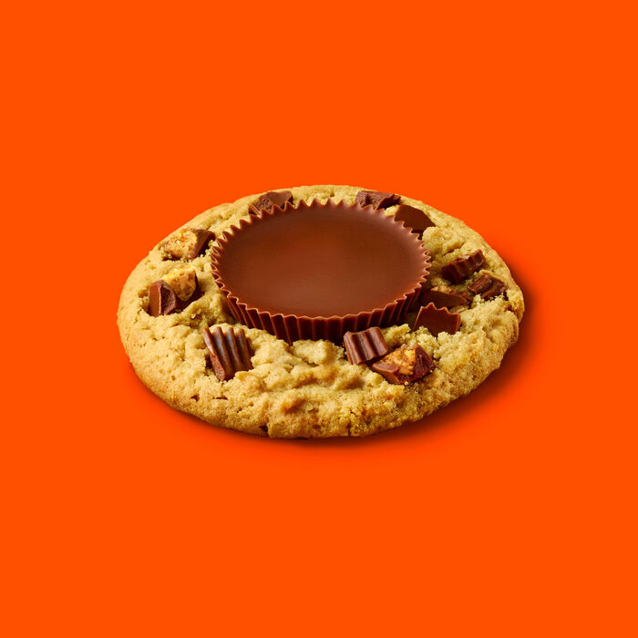 Image of REESE'S Peanut Butter Cups Snack Size 10oz Candy Bag Packaging