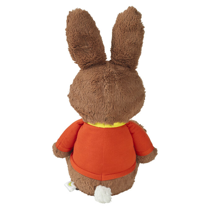 Image of REESE'S REESTER BUNNY Plush Packaging