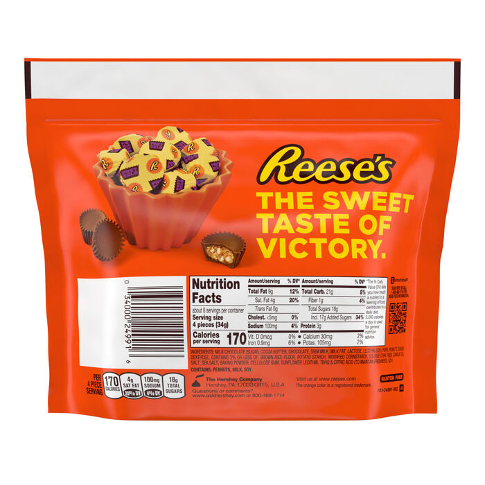 Image of REESE'S Milk Chocolate Peanut Butter Cups with Pretzels Miniatures  9.9oz Candy Bag Packaging