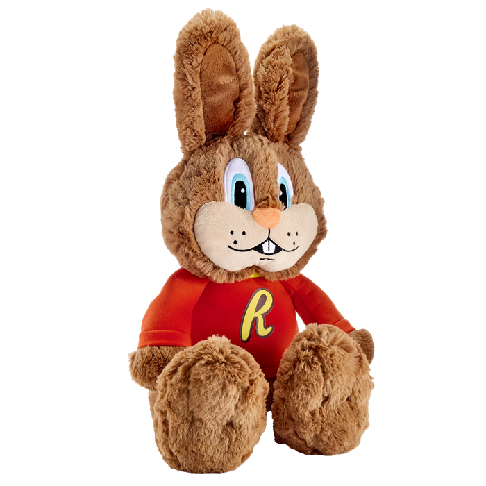 Image of REESE'S REESTER BUNNY Plush Packaging
