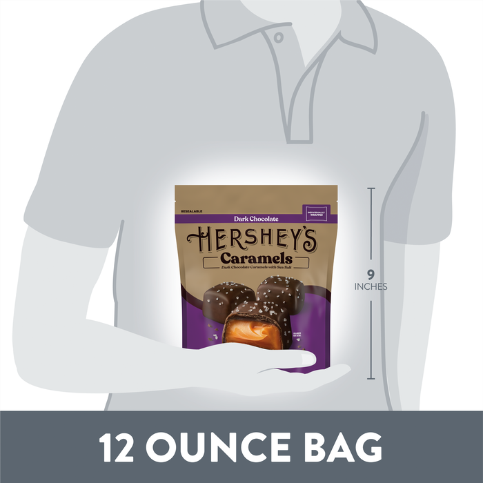 Image of HERSHEY'S Dark Chocolate Caramels with Sea Salt Pouch, 12 oz Packaging