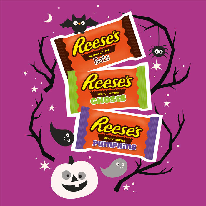 Image of REESE'S Assorted Snack Size Milk Chocolate Peanut Butter Halloween Shapes, Variety Bag, 9 oz Packaging