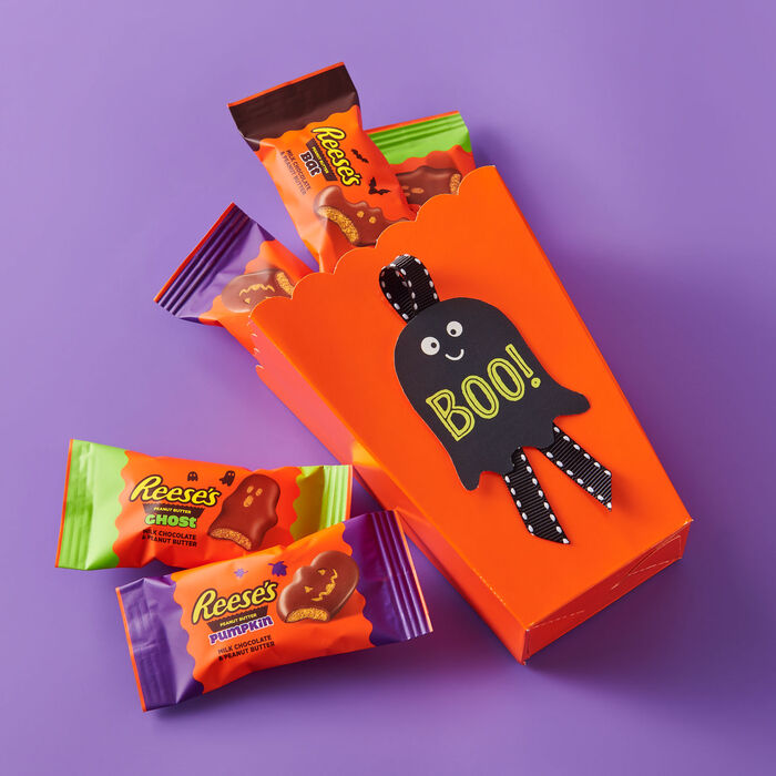 Image of REESE'S Assorted Snack Size Milk Chocolate Peanut Butter Halloween Shapes, Variety Bag, 9 oz Packaging