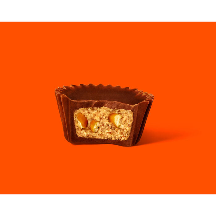 REESE'S Milk Chocolate Peanut Butter Cups with Pretzels Miniatures 9 ...