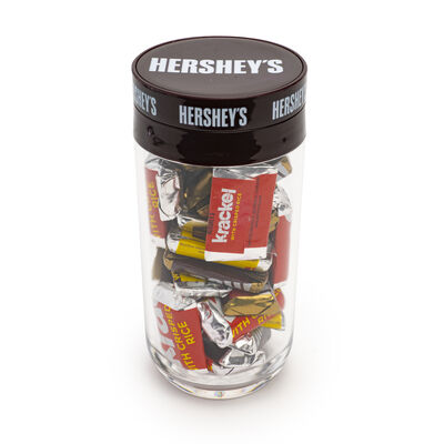 HERSHEY'S Chocolate Assorted Miniatures Filled Tube, 8 oz