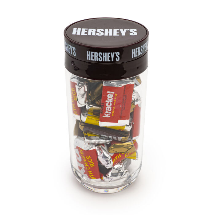 Image of HERSHEY'S Chocolate Assorted Miniatures Filled Tube, 8 oz Packaging