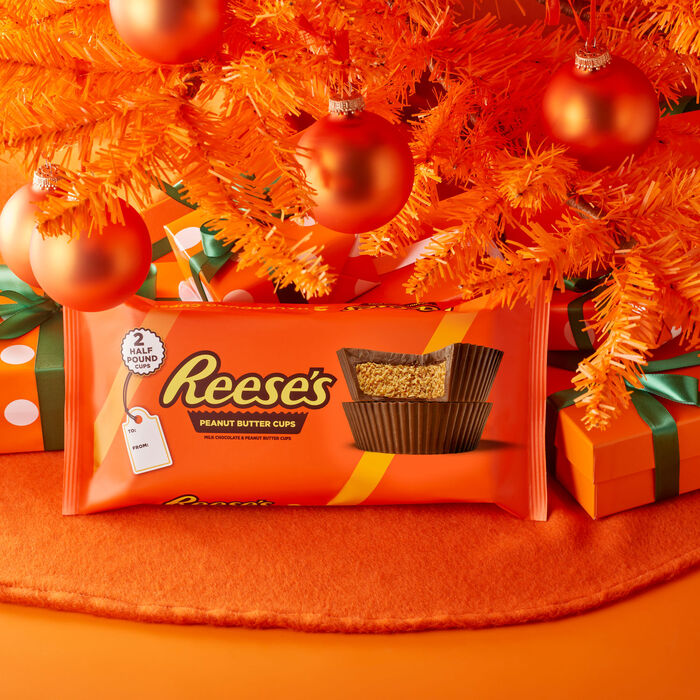 Image of REESE'S World's Largest Peanut Butter Cups 1 lb. Candy Pack Packaging