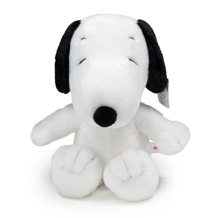Image of Snoopy™ Valentine's 12" Plush Animal Packaging