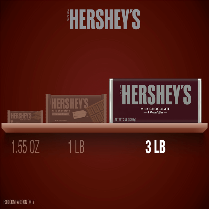 Image of Winter HERSHEY'S 3 lbs. Milk Chocolate Bar 48 oz. Box Packaging
