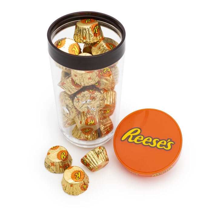 Image of REESE'S Milk Chocolate Miniatures Filled Tube, 8 oz Packaging