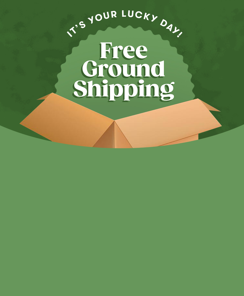 Shipping promotional graphic with a cardboard box on a green background