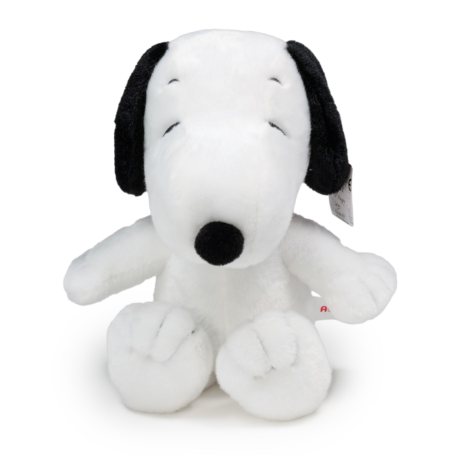 Snoopy™ Valentine's 12