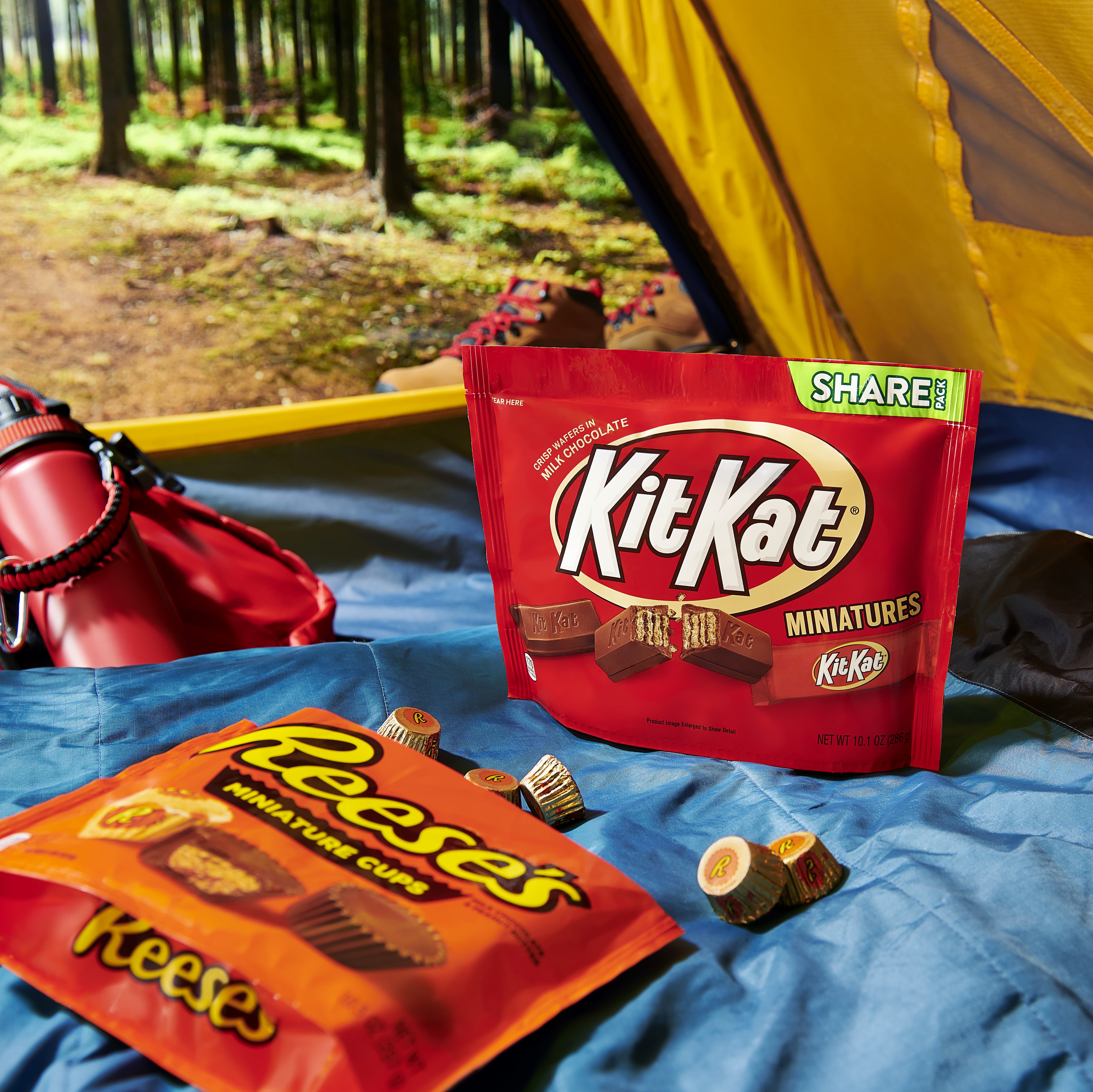 REESE'S and KIT KAT® share bags in a tent at a campground